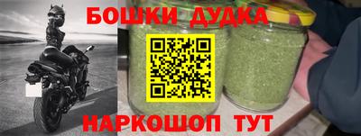 прущие грибы Шелехов