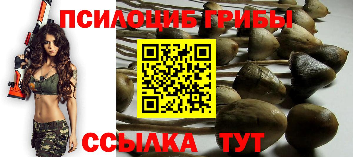 Галлюциногенные грибы Magic Shrooms Туапсе